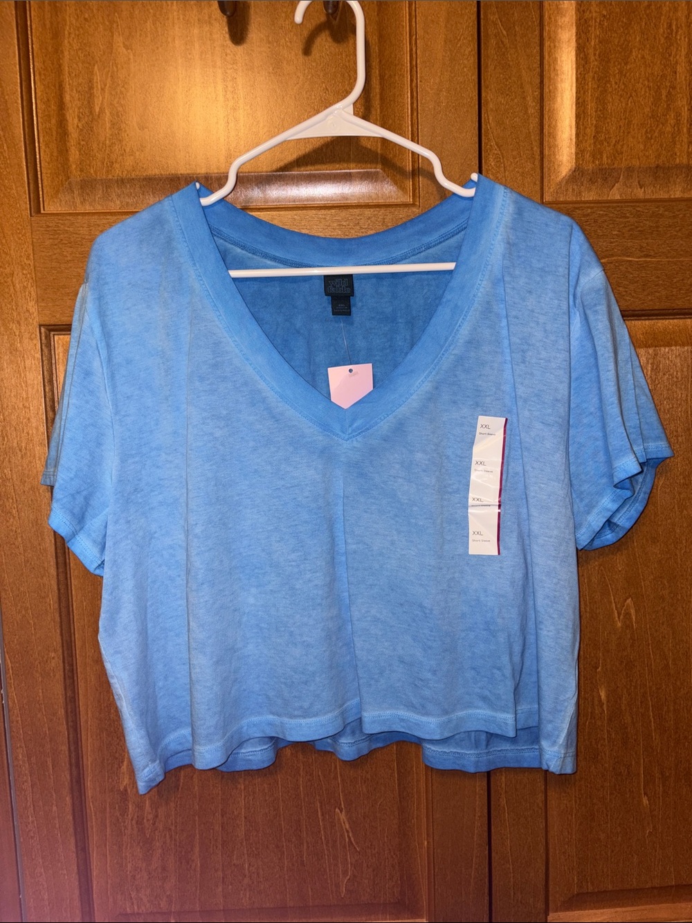 wild fable Light Blue V-Neck Cropped Tee